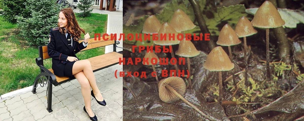 шишки Беломорск