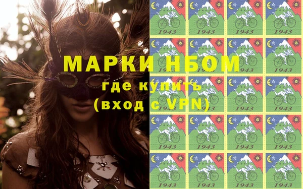 шишки Беломорск